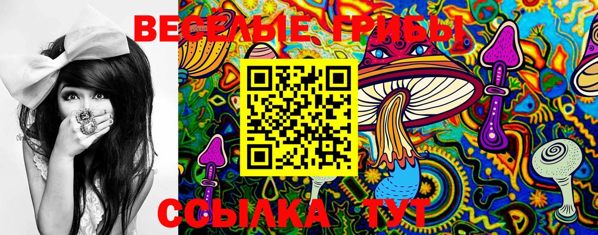 Галлюциногенные грибы Psilocybe  Псилоцибиновые грибы Cubensis  Вход с VPN  Копейск 