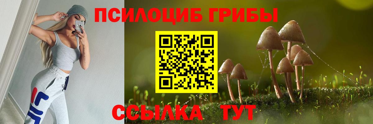 Псилоцибиновые грибы Psilocybine cubensis Копейск